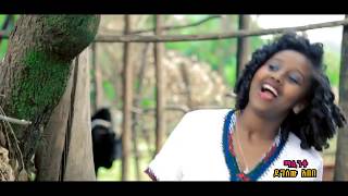 Ethiopia Mistre Manalimosh Dibo  Dimam Sew  NEW Ethiopian Music Video [upl. by Berhley]