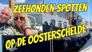 WINDKRACHT 6 OP DE OOSTERSCHELDE 173 YACHT VLOG [upl. by Atteynod]