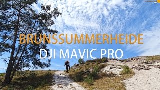 Brunssummerheide natuurgebied  ✈ DJI Mavic Pro  Nederland [upl. by Erwin909]