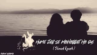 Hume Jabse Mohobbat Ho gayi hai  Slowed Reverb song  Boarder  Pooja Bhatt  Khanna [upl. by Gerome889]