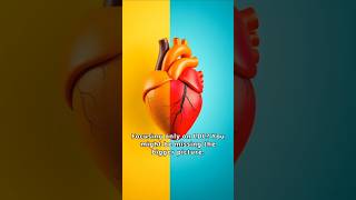 Cholesterol Vs Triglycerides learn about the importance of the TriglyceridestoHDL ratio [upl. by Dweck]