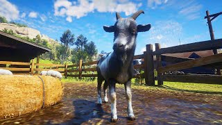 Playing Red Dead Redemption 2 as a Goat [upl. by Brost]