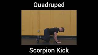 Quadruped Scorpion Kick [upl. by Merton]