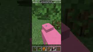 Very rare pink sheep subscribe [upl. by Nivaj603]