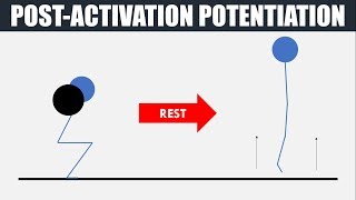 Post Activation Potentiation  Theory and Practical Application [upl. by Ydnam512]