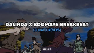 DJ Dalinda Old 2019 x Boomaye Breakbeat slowedreverb [upl. by Pruchno582]