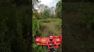 L2501 brush mowing with the Del Morino Funny Top Flail Mower [upl. by Ytissac180]