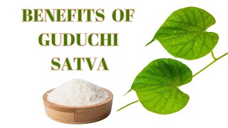 Guduchi Satva – Benefits Dosage Ingredients Side Effects [upl. by Marie-Ann]