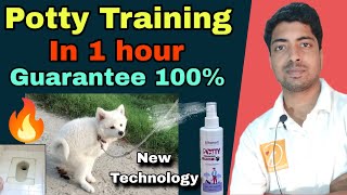 New technology  Dog Potty training with spray in hindi 🔥 Live example [upl. by Sparky]