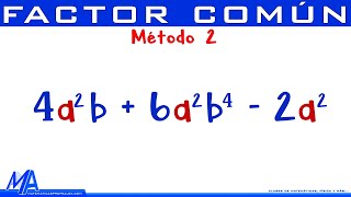 Factorización por factor común  Método 2 [upl. by Craw]