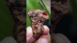 Red Wulfenite crystal on matrix mineral crystals wulfenite gemstone quartz minerals [upl. by Yared453]