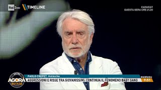 Paolo Crepet quotormai ai giovani diciamo solo sìquot  Timeline di Agorà Estate 17062024 [upl. by Ayyidas]