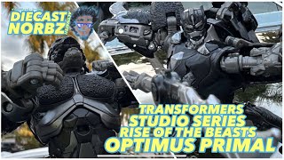 TRANSFORMERS STUDIO SERIES RISE OF THE BEASTS OPTIMUS PRIMAL [upl. by Brig]