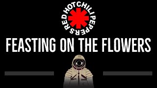 Red Hot Chili Peppers • Feasting On The Flowers CC 🎤 Karaoke Instrumental Lyrics [upl. by Pelaga]