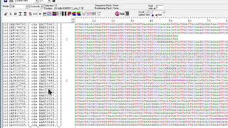 Sequence Extraction using bioedit Part 2 [upl. by Cressida297]