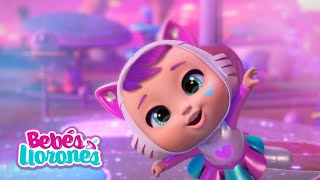 ESPECIAL 📺 DAISY STAR ⭐ Bebés Llorones Lágrimas Mágicas 💕 Capítulos Completos para niños en español [upl. by Ellered]