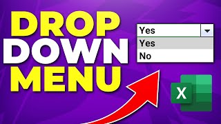 How to Make a DropDown List in Excel Drop Menu [upl. by Cristionna421]