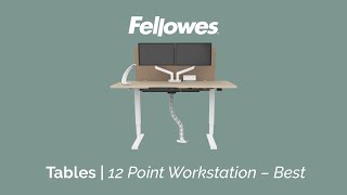 Fellowes 12 Point Workstation  Best [upl. by Kolivas]