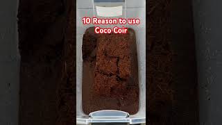 Know These 10 Reasons To Use Coco Coir [upl. by Ixela]