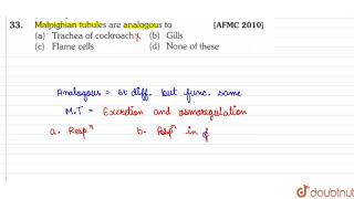 Malpighian tubules are analogous to [upl. by Iorio801]