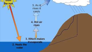 KS3 GCSE Geography Water Cycle [upl. by Arteid435]