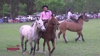 4° Campeonato Del Sur Pampeano quot 34° Fiesta D La Tierra del Caldén quot [upl. by Sueddaht]