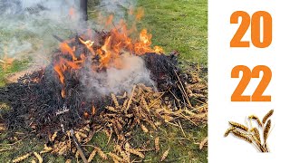 Burning 2022 Whittlesey Straw Bear [upl. by Nottarts]