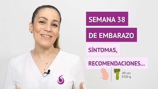 ¿Cómo es el bebé en la semana 38 de embarazo 🤰 ¿Qué cambios hay [upl. by Anura]