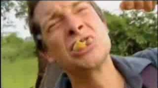 Bear Grylls eats a worm [upl. by Jenelle]