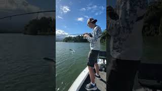 Giant Queenfish on topwater FNQ 🤙🐟 australia fishing ocean [upl. by Anahpets484]