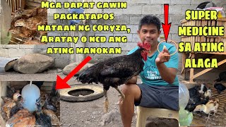 GARLIC SUPER MEDICINE SA MANOK  MGA DAPAT GAWIN PAGKATAPOS MATAAN NG CORYZAARATAYNCD ANG MANOKAN [upl. by Cassandry]