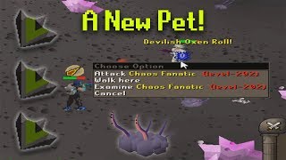 Road To All Pets  A New Pet  Lucky In The Wrong Places  Vorkath Pet Hunt OSRS [upl. by Nomis]