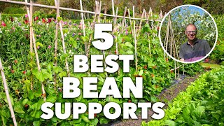 5 Best Bean Poles Frames and Supports for Your Garden [upl. by Gosnell]