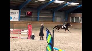 Kunikke Line Z  clear round 90 cm  Viborg Rideklub [upl. by Lytsirk]