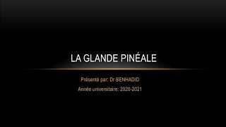 Glande Pinéale Histologie [upl. by Josy806]