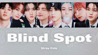 【日本語字幕】Blind Spot사각지대 Stray Kids【和訳カナルビ歌詞】 [upl. by Graehme112]