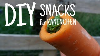 3 DIY Snacks für Kaninchen 🍎🐇  Kaninchenstar [upl. by Lathan]