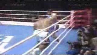 K1 Bob Sapp vs Ray Sefo [upl. by Axe]