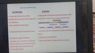 CONCEPT OF INTRON amp EXON [upl. by Obaza196]