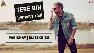 Parichay  Tere Bin Without You ft Blitz HQ Audio [upl. by Brownson]