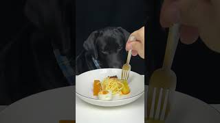 Delicious food makes Labradors day Cute dog debut plan Oh my god it smells so good [upl. by Sanson]