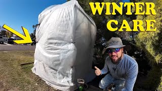 Keep Your Plants Alive  Winter Care Tips [upl. by Aihsemek]