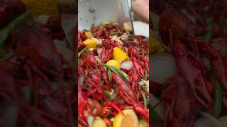 Backyard crawfish boil  food foodie cooking deliciousfood crawfishboil crawfish louisiana [upl. by Halfon282]