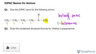 IUPAC Names for Amines [upl. by Birmingham]