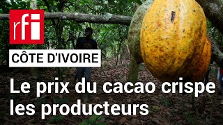 Côte d’Ivoire  le prix du cacao crispe les producteurs • RFI [upl. by Eldredge]