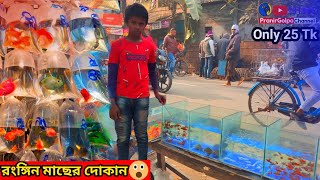 Aquarium Price In Bangladesh। Aquarium Fish Price In Khulna। Aquarium Fish Price In Bangladesh [upl. by Ilohcin399]