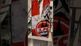 1 FC Köln Song 2024 Ein besonderes Geschenk für meinen Opa und alle FC Köln Fans [upl. by Torrin490]