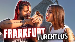 FRANKFURT VS VOGELSPINNE 🕷🔥  ZEIL VLOG ESKALIERT😱 [upl. by Pacifica]