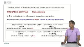 37 Oxosales neutras  52101  UPV [upl. by Pamela]