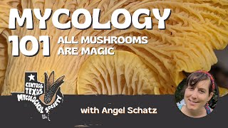 Mycology 101 [upl. by Yessydo]